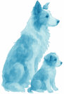 site logo and icon